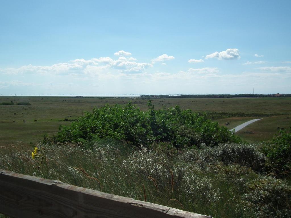 Hollumerduinen 外观 照片